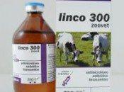 Linco 300